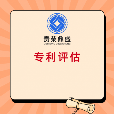 广州市专利评估