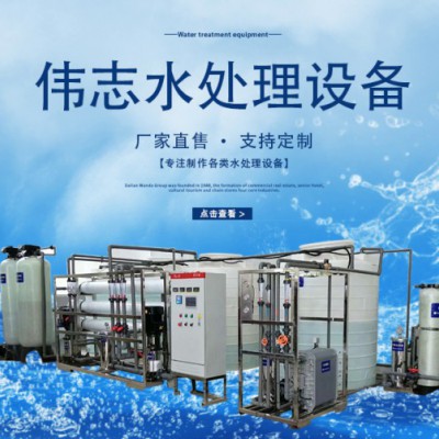 伟志专业定制 反渗透纯水处理设备 设计生产安装一体化