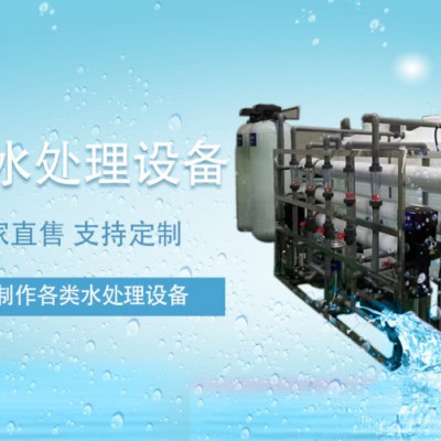 伟志专业定制水处理纯水设备